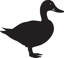 Duck Silhouette Vector Illustration White Background