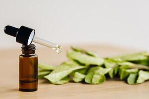 Essential oil in one bottle and mint plants lying on the surface photo