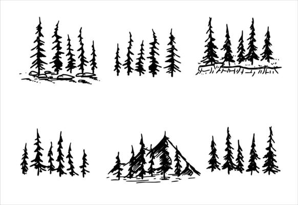 Forest trees silhouette. Set of Stencil of pine. Winter park landscape. Wooden decor element. Concept of adventure and travel, active lifestyle in nature