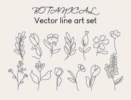 botánico línea Arte colocar. floral dibujado a mano vector recopilación.