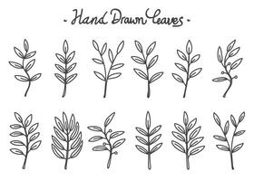 dibujado a mano botánico hojas línea recopilación. dibujado a mano vector colección