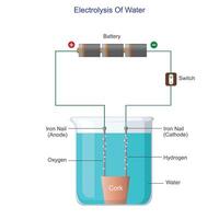 Simple experiment of electrolysis of water. Water decomposes at electrodes releasing hydrogen and oxygen gases. Science illustration. vector