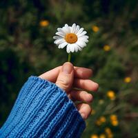 AI generated Hand holding of chamomile flower for design happy spring post Spring greeting background photo