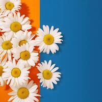 AI generated chamomiles flower with Copy space for design Spring banner poster photo