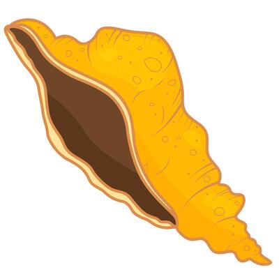 cartoon seashell illustration
