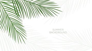 tropical leaves background vector