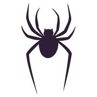 spider black silhouette vector