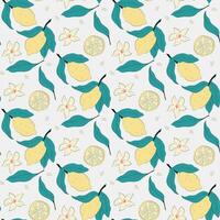 citrus pattern design vector