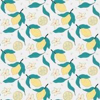 citrus pattern design vector