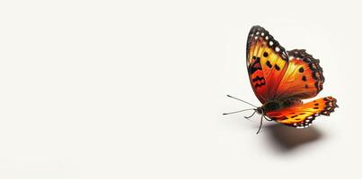 AI generated Red, orange, and yellow butterfly isolated on white background with copy space, graphic resource backdrop. Symbol of transformation, hope, and rebirth photo