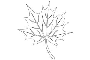 Maple leaf continuous one line art drawing of leaf decorative icon outline vector art illustration