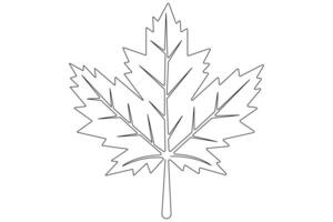 Maple leaf continuous one line art drawing of leaf decorative icon outline vector art illustration