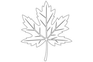 Maple leaf continuous one line art drawing of leaf decorative icon outline vector art illustration