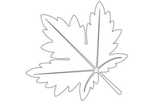 Maple leaf continuous one line art drawing of leaf decorative icon outline vector art illustration