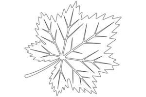 Maple leaf continuous one line art drawing of leaf decorative icon outline vector art illustration