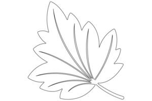 Maple leaf continuous one line art drawing of leaf decorative icon outline vector art illustration