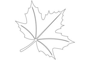 Maple leaf continuous one line art drawing of leaf decorative icon outline vector art illustration