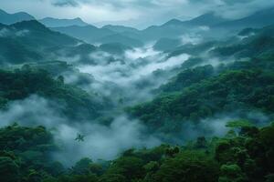 ai generado lluvioso clima terminado el nube bosque en brumoso montañas foto