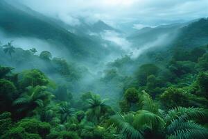 AI generated cloud forest in misty mountains photo