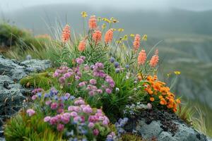 ai generado vistoso flores en el montaña tundra en verano en el niebla foto