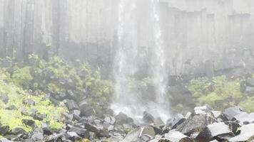 al aire libre alto cascada estrellarse en basáltico rocas y almizcle video