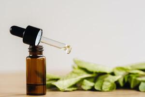 Essential oil in one bottle and mint plants lying on the surface photo