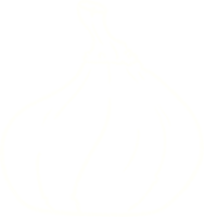 squashkritritning png