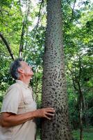 Biologist inspecting the tree trunk of the Anigic Tree also known as the Floss silk that is found throughout the Savannas or Cerrados of Brazil photo