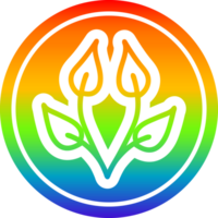 natürliches blatt kreisförmig im regenbogenspektrum png