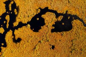 An aerial view of an autumn bog in Yelnya, Belarus, autumn. Ecosystems ecological problems climate change photo