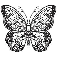 butterfly coloring book page vector illustrations for kids