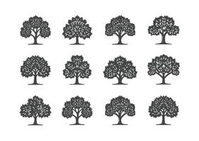 árbol siluetas conjunto de Clásico negro árbol. gratis vector