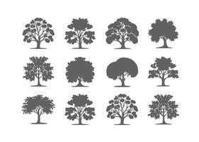 Tree silhouettes. Set of vintage black tree. Free Vector