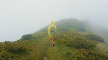 Stumpf Landschaft Aussicht und Frau tragen Gelb Regenjacke Nein Landschaft im das Berge. video