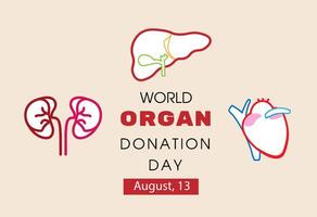 World Organ Donation Day with Kidneys, Heart, or Liver for Transplantation vector