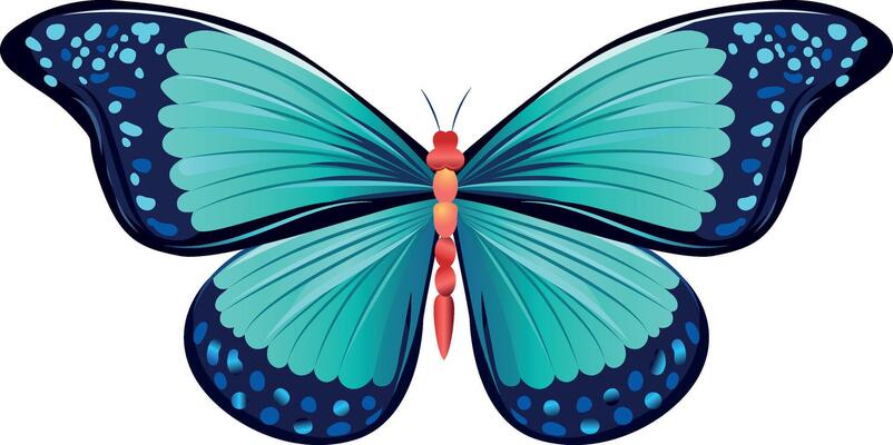 Butterfly illustration isolated on white background.