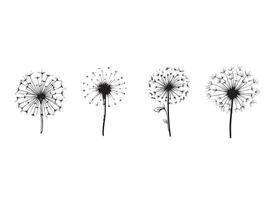 AI generated dandelion design illustration isolated on white background vector