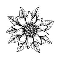 Hand drawn flower black outline vector isolated on white background.