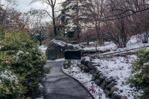 Snowy City Park Pathway Wide Shot photo