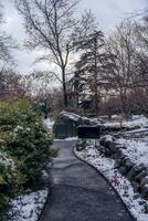 Snowy City Park Pathway Tall Shot photo