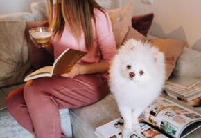 a girl in pajamas at home reads a book with her dog Spitzer, the Dog and its owner are resting on the sofa and reading a book.Household chores photo