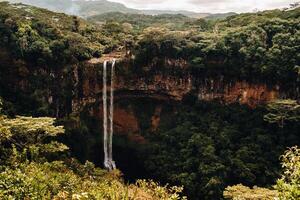 View from the observation deck of the Waterfall in the Chamarel nature Park in Mauritius photo