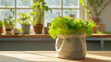 AI generated Sustainable Healthy Eating, Lettuce in Reusable Bag photo