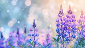 AI generated Blue Lupine Blooms with Dreamy Bokeh photo