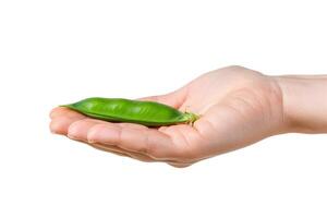 AI generated Fresh Snow Pea Pod in Hand   Organic Concept photo