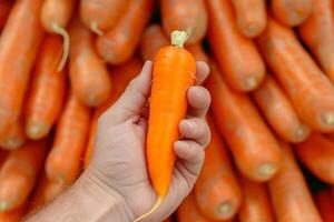 AI generated Fresh Carrot Close up on Pile with Copy Space photo