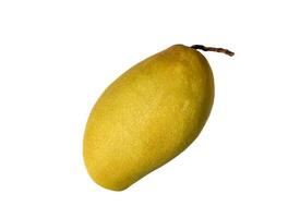 Fresh Yellow Mango Isolated with Copy Space photo