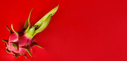 Vibrant Dragon Fruit on Red Background photo