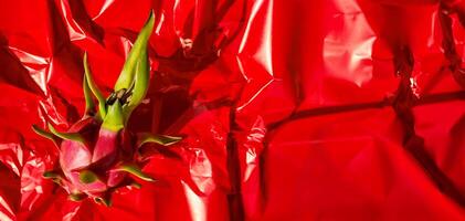 Exotic Red Dragon Fruit on Textured Foil photo