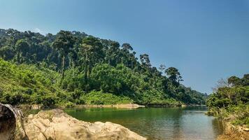 Serene Tropical River Oasis with Clear Skies photo